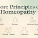 The core principles of Homeopathy